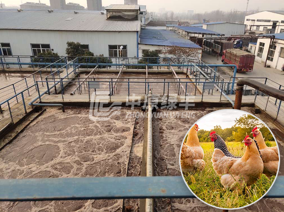 雞屠宰廢水處理工程 雞屠宰廢水處理工程